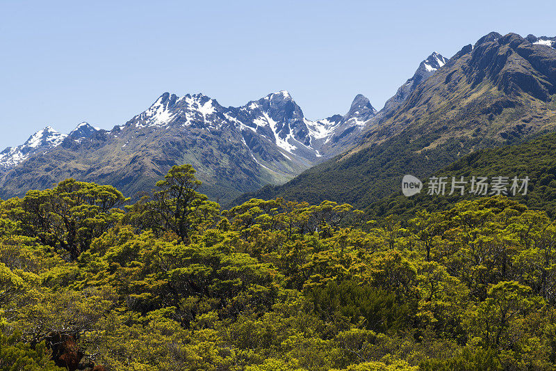 在峡湾国家公园沿路伯恩轨道到Key Summit的风景